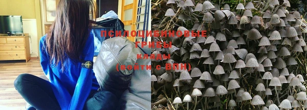 дурь Заволжье