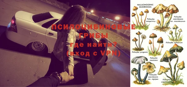 PSILOCYBIN Зерноград