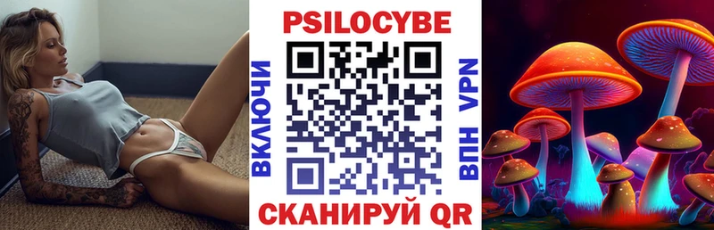 Галлюциногенные грибы Psilocybe  Купить закладки  Звенигород 